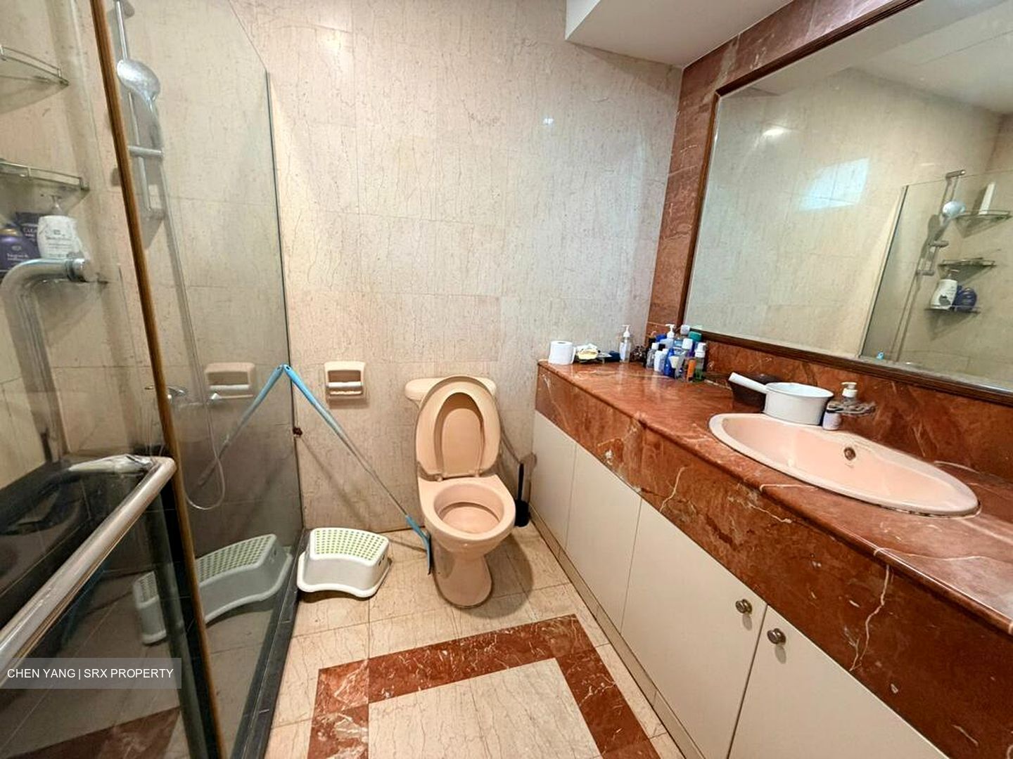 Parkshore (D15), Condominium #565835141